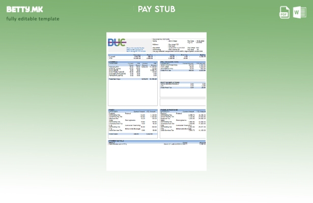 модерен стил САД Диксон Универзитетскиот центар образовна компанија paystub шабл